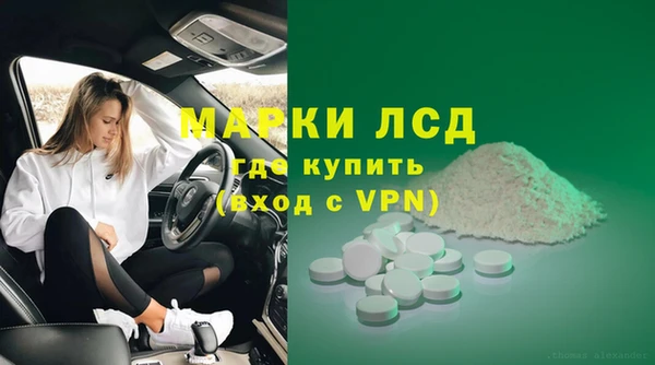 spice Алзамай