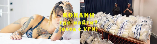 PSILOCYBIN Козловка