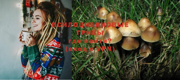 ешки Алексин