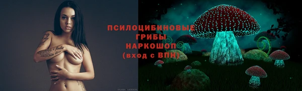 ешки Алексин