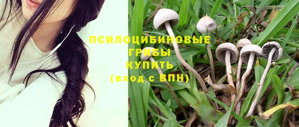 ешки Алексин
