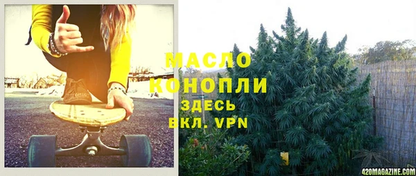 твердый Заводоуковск