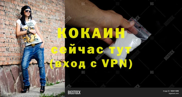 ешки Алексин