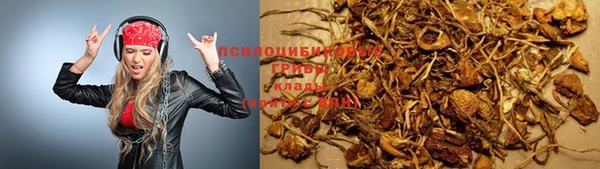 СК Кодинск